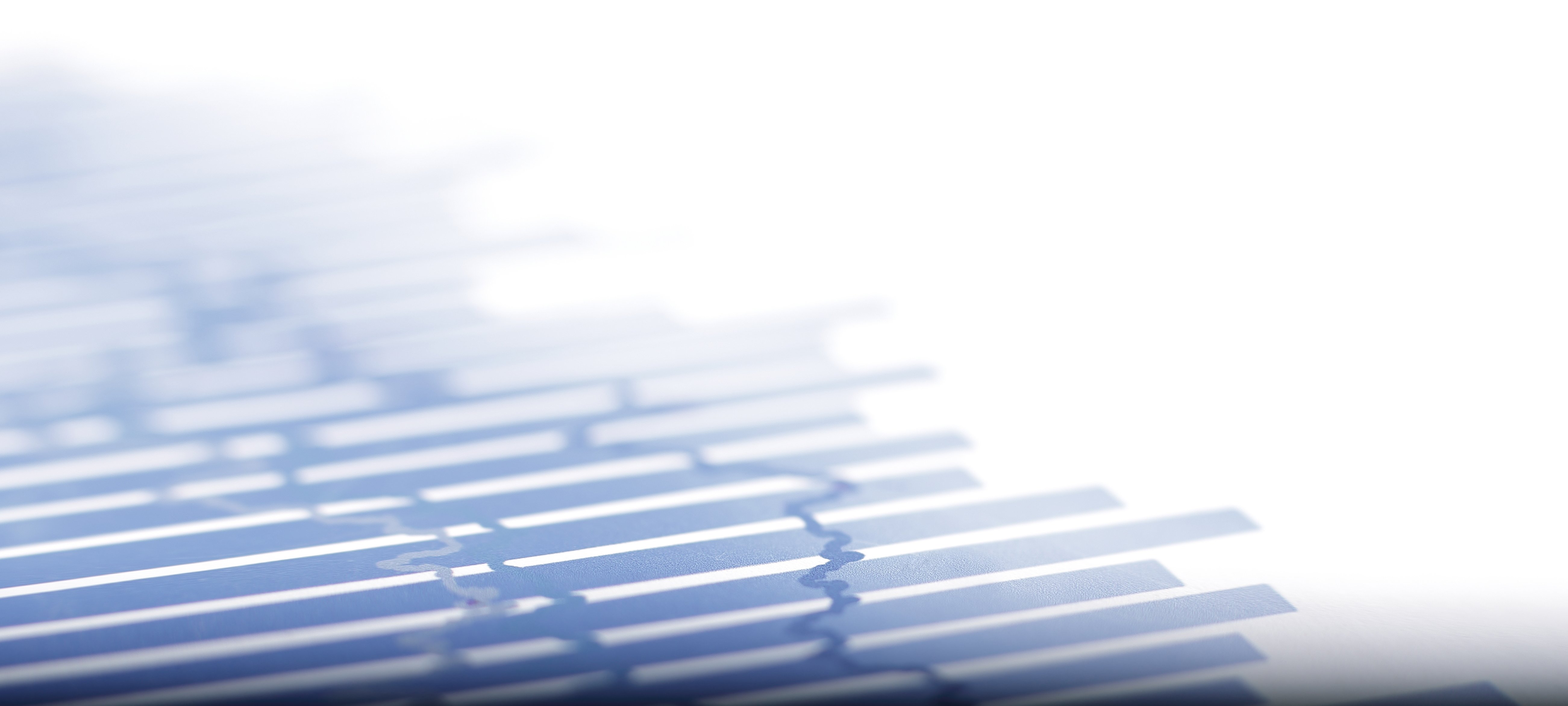 AdobeStock_246154544